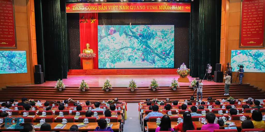 Bắc Giang tổ chức hội nghị trực tuyến xúc tiến tiêu thụ vải thiều với gần 80 điểm cầu trong nước...